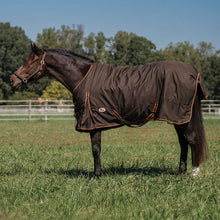 Load image into Gallery viewer, Millers 600D Ripstop Medium Weight Turnout Blanket 200 GSM Standard Neck
