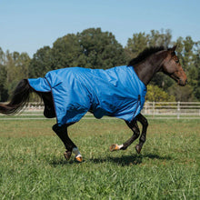 Load image into Gallery viewer, Millers 600D Ripstop Medium Weight Turnout Blanket 200 GSM Standard Neck
