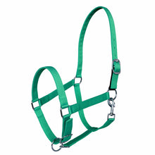 Load image into Gallery viewer, Miller's Adjustable Nylon Halter with Snap and Breakaway Leather
