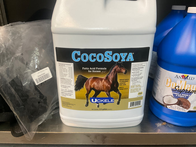 CocoSoya 2.5 gallon