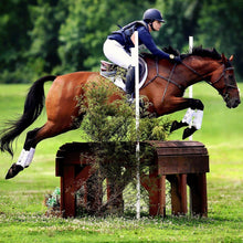 Load image into Gallery viewer, MAJYK EQUIPE® Eventing 4 Pack - (Fronts and Hinds) Boyd Martin Series
