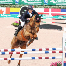 Load image into Gallery viewer, Boyd Martin Stadium Tendon Jump Boot with ARTi-LAGE Technology
