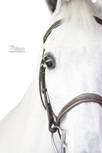 Load image into Gallery viewer, Sugarbrook Bridle Wide Noseband
