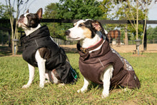 Load image into Gallery viewer, DS26 All Weather Dog Coat
