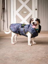 Load image into Gallery viewer, DS26 All Weather Dog Coat
