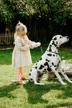 Load image into Gallery viewer, Barn Dog Dry Shampoo
