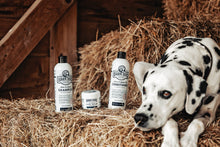 Load image into Gallery viewer, Barn Dog Paw Balm
