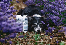 Load image into Gallery viewer, Barn Dog Conditioner

