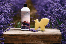Load image into Gallery viewer, Sheath, Udder + Genital Cleanser
