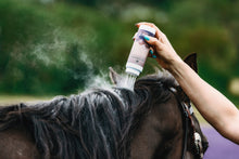 Load image into Gallery viewer, Daily Defense Dry Shampoo
