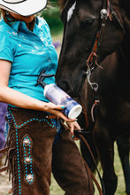Load image into Gallery viewer, Horse Spray
