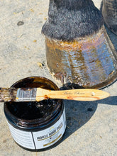Load image into Gallery viewer, Horse Hoof PASTE &amp; brush applicator 16 oz
