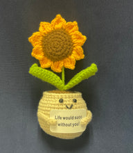 Load image into Gallery viewer, 🎁Positive Crochet Potted Succulent
