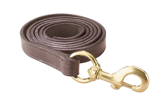 Leather Lead w/ Snap