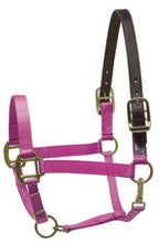Load image into Gallery viewer, Perri’s Safety Halter
