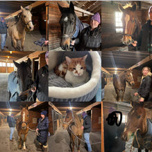 Load image into Gallery viewer, Mirabella Stables
