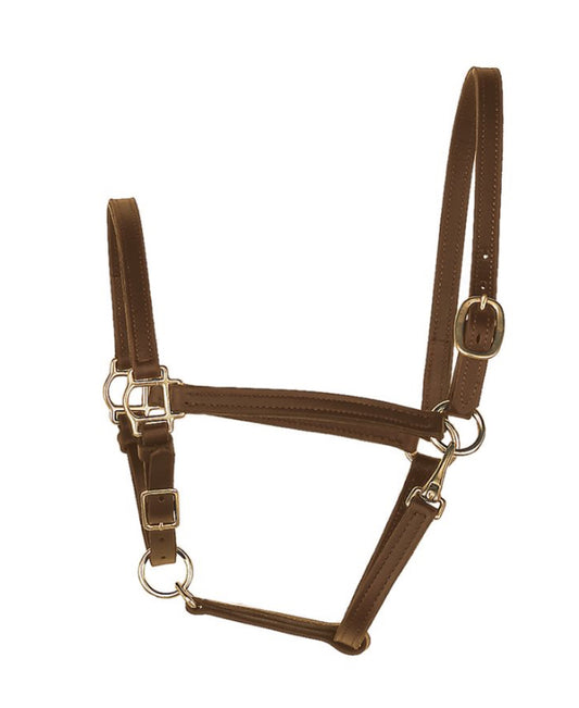 3/4” Havana Leather Turnout Halter