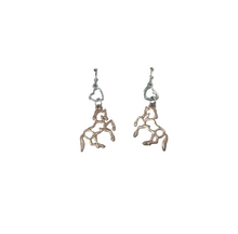 Load image into Gallery viewer, 🎁Equestrian Jewelry Set
