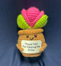 Load image into Gallery viewer, 🎁Positive Crochet Potted Succulent
