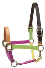 Load image into Gallery viewer, Perri’s Safety Halter
