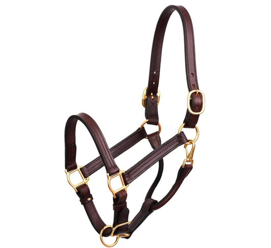 1” Horse Havana Show Halter