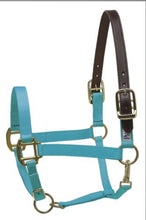 Load image into Gallery viewer, Perri’s Safety Halter
