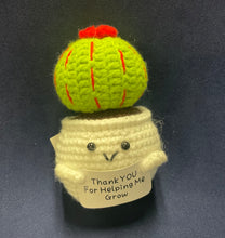 Load image into Gallery viewer, 🎁Positive Crochet Potted Succulent
