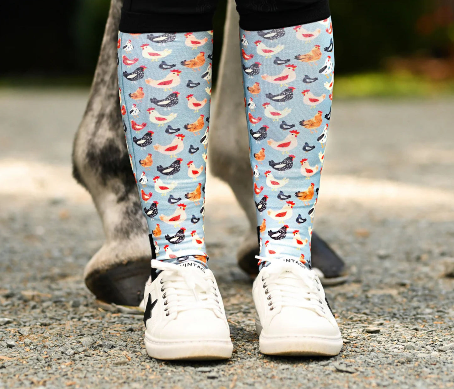 Dreamers&Schemers Socks “Hen House”