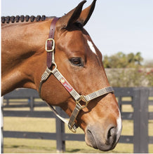 Load image into Gallery viewer, Baker Breakaway Halter
