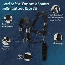 Load image into Gallery viewer, Henri de Rivel Ergonomic Comfort Halter and Lead Rope Set
