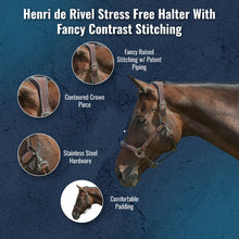 Load image into Gallery viewer, Henri de Rivel Stress Free Halter With Fancy Contrast Stitching
