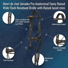 Load image into Gallery viewer, Henri de rivel Jamaika Pro Anatomical Fancy Raised Wide Flash Noseband Bridle with Raised laced reins
