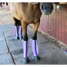 Load image into Gallery viewer, Fly-Bye Boots (4 Pack)
