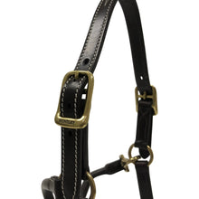 Load image into Gallery viewer, Huntley Equestrian Fancy Stitched Adjustable Premium Leather Pony Halter with Brass Hardware
