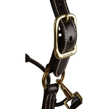 Load image into Gallery viewer, Huntley Equestrian Fancy Stitched Premium Leather Padded Halter
