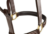 Load image into Gallery viewer, Huntley Equestrian Fancy Stitched Premium Leather Padded Halter
