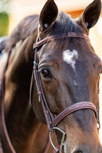 Load image into Gallery viewer, Huntley Equestrian Fancy Stitched Schooling Hunter Bridle with Reins
