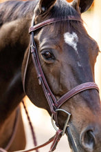 Load image into Gallery viewer, Huntley Equestrian Fancy Stitched Schooling Hunter Bridle with Reins
