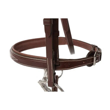 Load image into Gallery viewer, Huntley Equestrian Fancy Stitched Sedgwick Leather Padded Bridle with Reins
