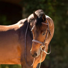 Load image into Gallery viewer, Huntley Equestrian Fancy Stitched Sedgwick Leather Padded Bridle with Reins
