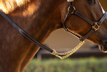 Load image into Gallery viewer, Huntley Equestrian Leather Lead with Brass Chain

