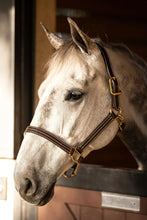 Load image into Gallery viewer, Huntley Equestrian Premium Leather Triple Stitched Halter with Snap

