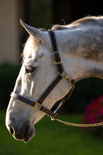 Load image into Gallery viewer, Huntley Equestrian Premium Leather Triple Stitched Halter with Snap
