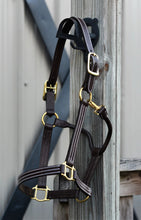 Load image into Gallery viewer, Huntley Equestrian Premium Leather Triple Stitched Halter with Snap
