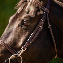 Load image into Gallery viewer, Huntley Equestrian Sedgwick Fancy Stitched Bridle with Cheek Clips and Reins
