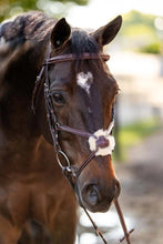 Load image into Gallery viewer, Huntley Equestrian Sedgwick Leather Padded Monocrown Figure 8 Bridle
