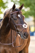 Load image into Gallery viewer, Huntley Equestrian Sedgwick Leather Padded Monocrown Figure 8 Bridle
