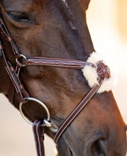 Load image into Gallery viewer, Huntley Equestrian Sedgwick Leather Padded Monocrown Figure 8 Bridle
