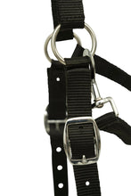 Load image into Gallery viewer, Huntley Fleece Padded Nylon Grazing Muzzle, Black
