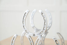 Load image into Gallery viewer, Huntley Horseshoe 3-Bottle Wine Rack, Aluminum Silver Finish
